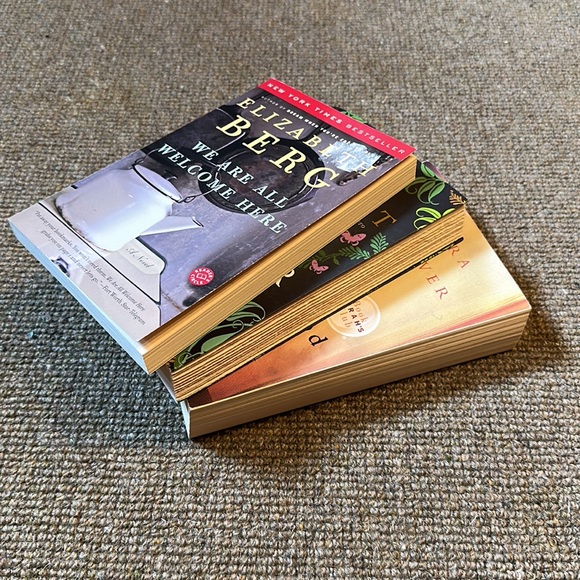 Three paperback novels by Barbara Kingsolver, Ann Patchett and Elizabeth Berg - Picture 3 of 4